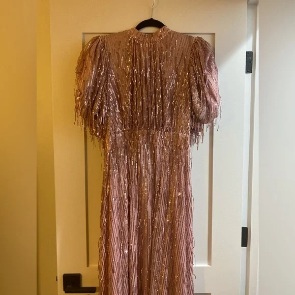 Rotate Birger Christensen Dawn Sequins Fringes Dress - Worn Once - Picture 6 of 9